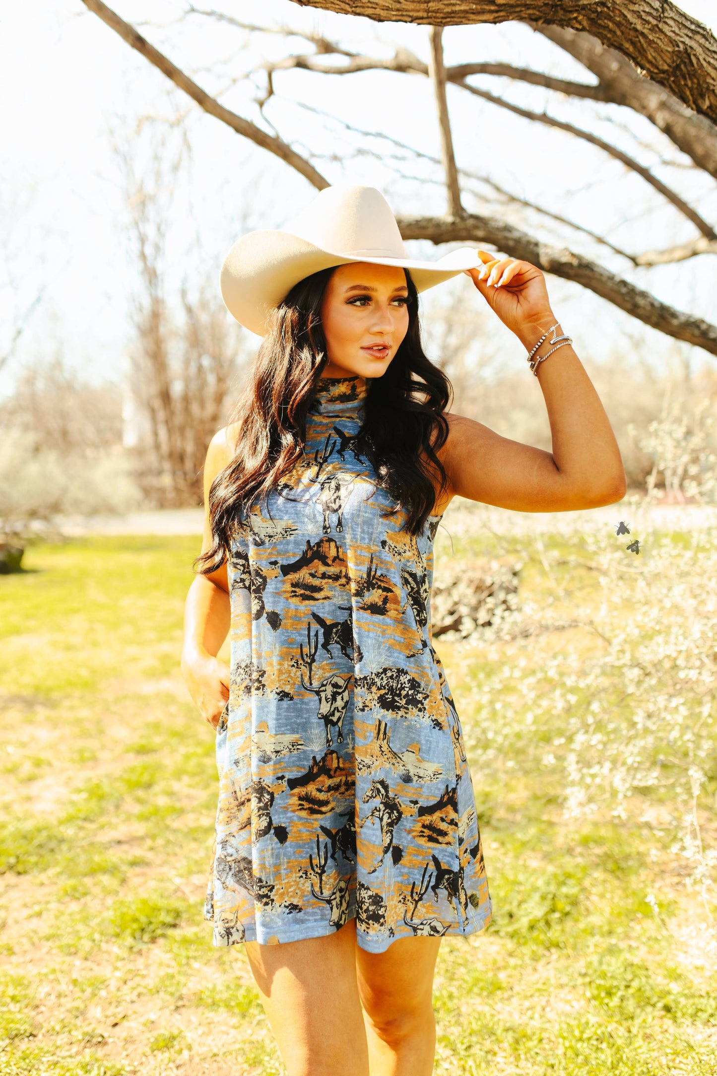 CANYON DUST DRESS